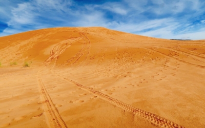 dunes