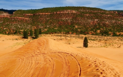 dunes