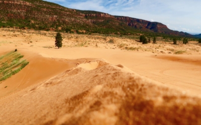 dunes