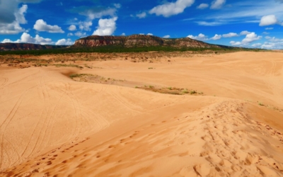 dunes