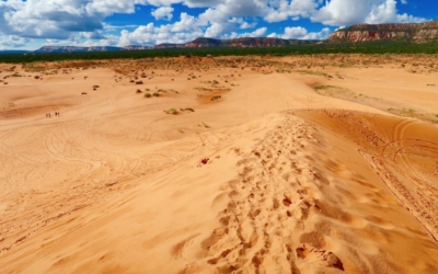 dunes