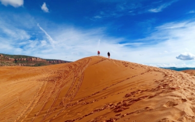 Coral Pink Sand Dunes