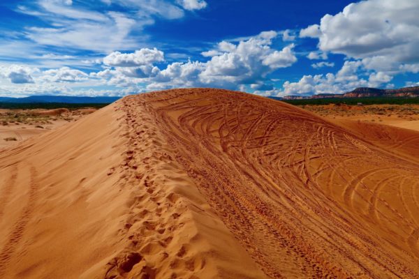 dune