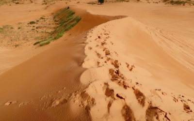 dunes