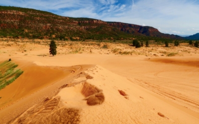 dunes