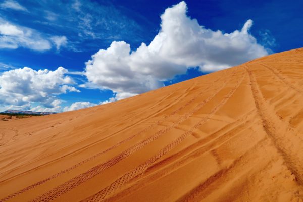 dunes