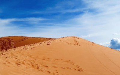 dunes