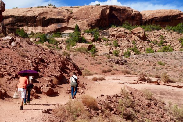 delicate arch trail