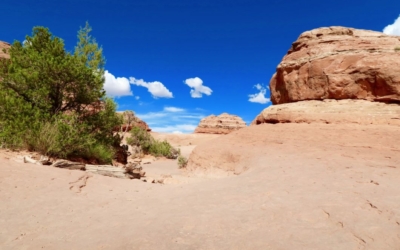 delicate arch trail