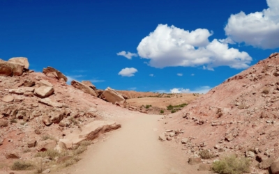 delicate arch trail