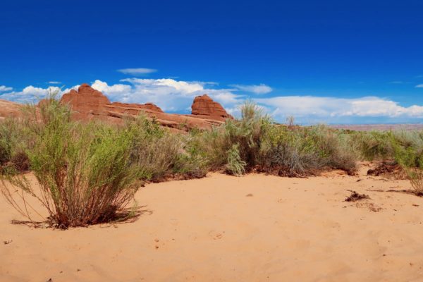 Devil's Garden Trail 