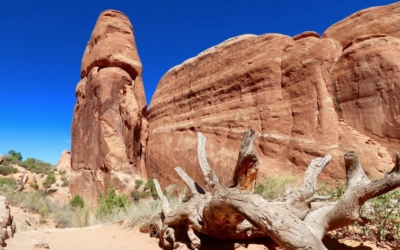 Devil's Garden Trail