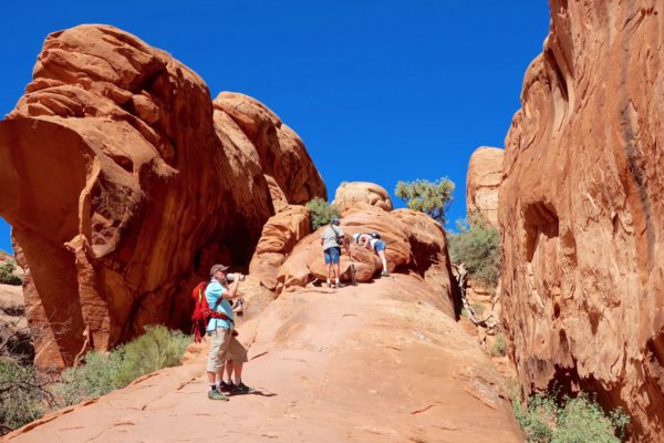 Devil's Garden Trail 