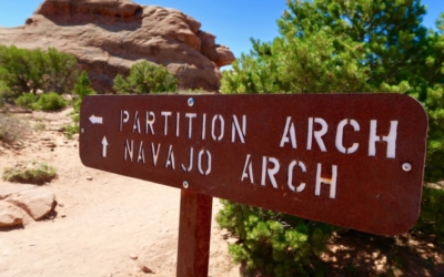 Partition Arch