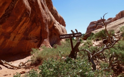Partition Arch