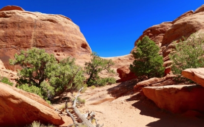 Navajo Arch