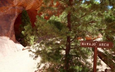 Navajo Arch