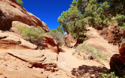 Devil's Garden Trail