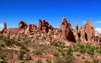 Devil's Garden Trail