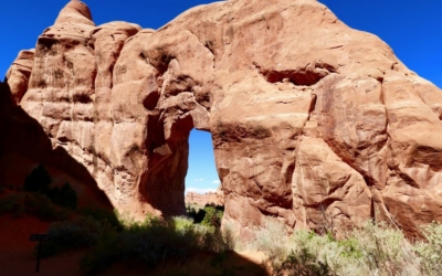 Pine Tree Arch