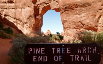 Pine Tree Arch