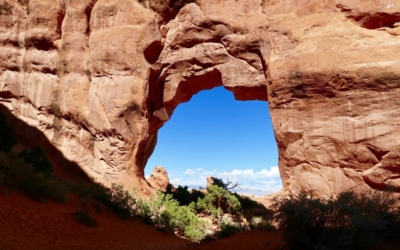 Pine Tree Arch