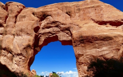 Pine Tree Arch