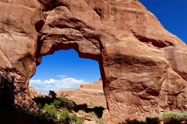 Pine Tree Arch 