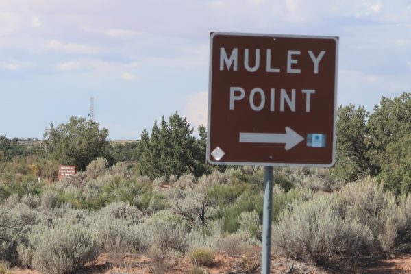 Muley Point