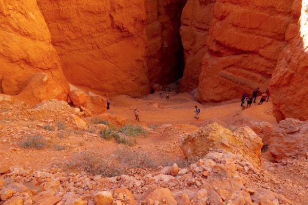 navajo loop