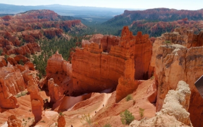 navajo loop