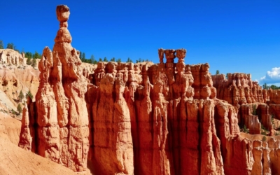 navajo loop