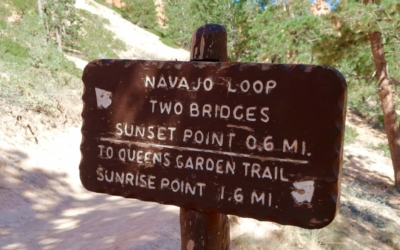navajo loop