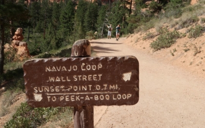 navajo loop