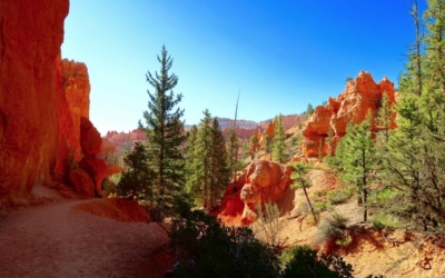 navajo loop