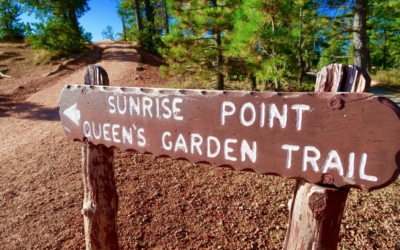 Queens garden trail