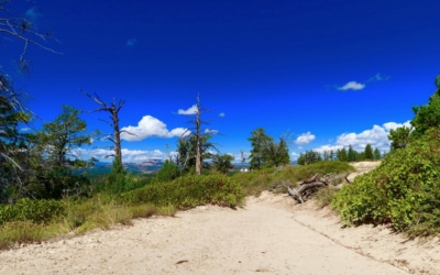 rim trail