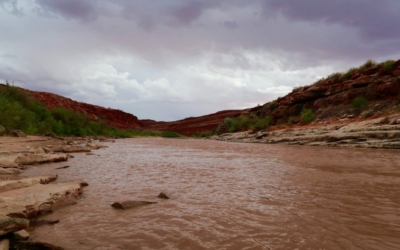 San Juan River