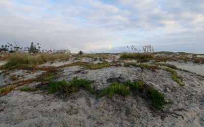 Coronado Beach