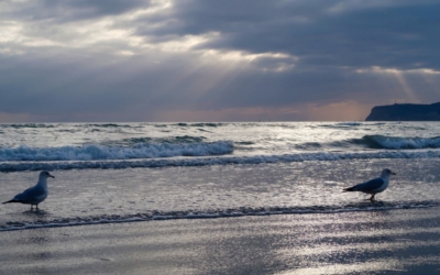 Coronado Beach
