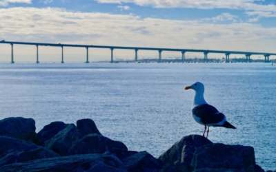 Coronado Bridge