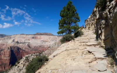 Observation Point