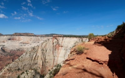 Observation Point