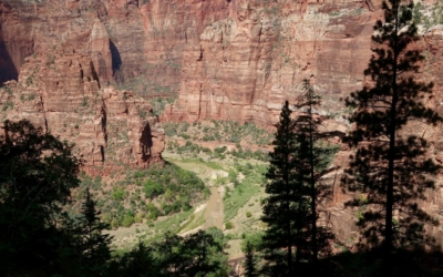 Observation Point