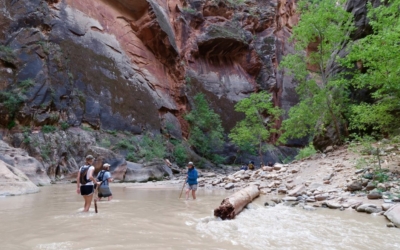 The Narrows