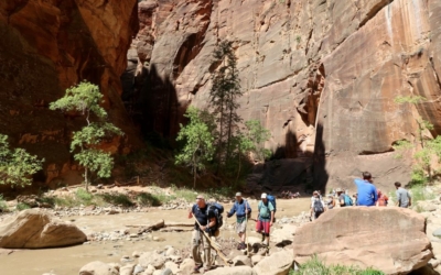 The Narrows