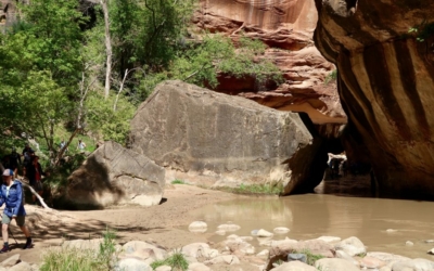 The Narrows