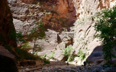 The Narrows