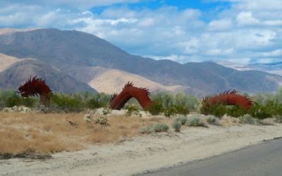 Galleta Meadows