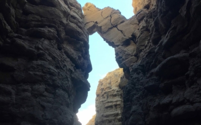 The Slot